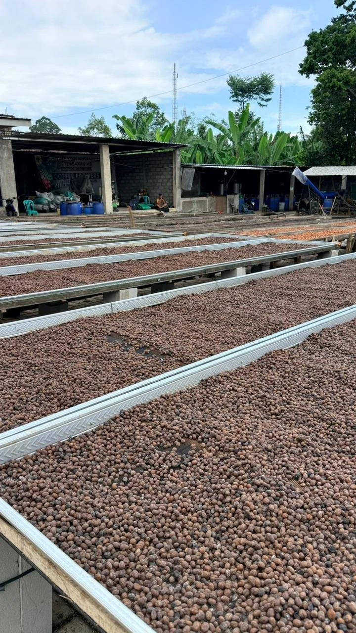 Ground coffee