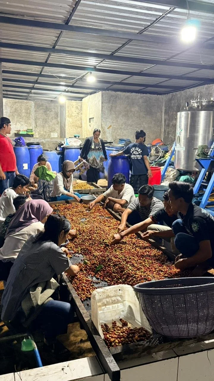 Three types of coffee beans: Arabica, House blend, and Robusta