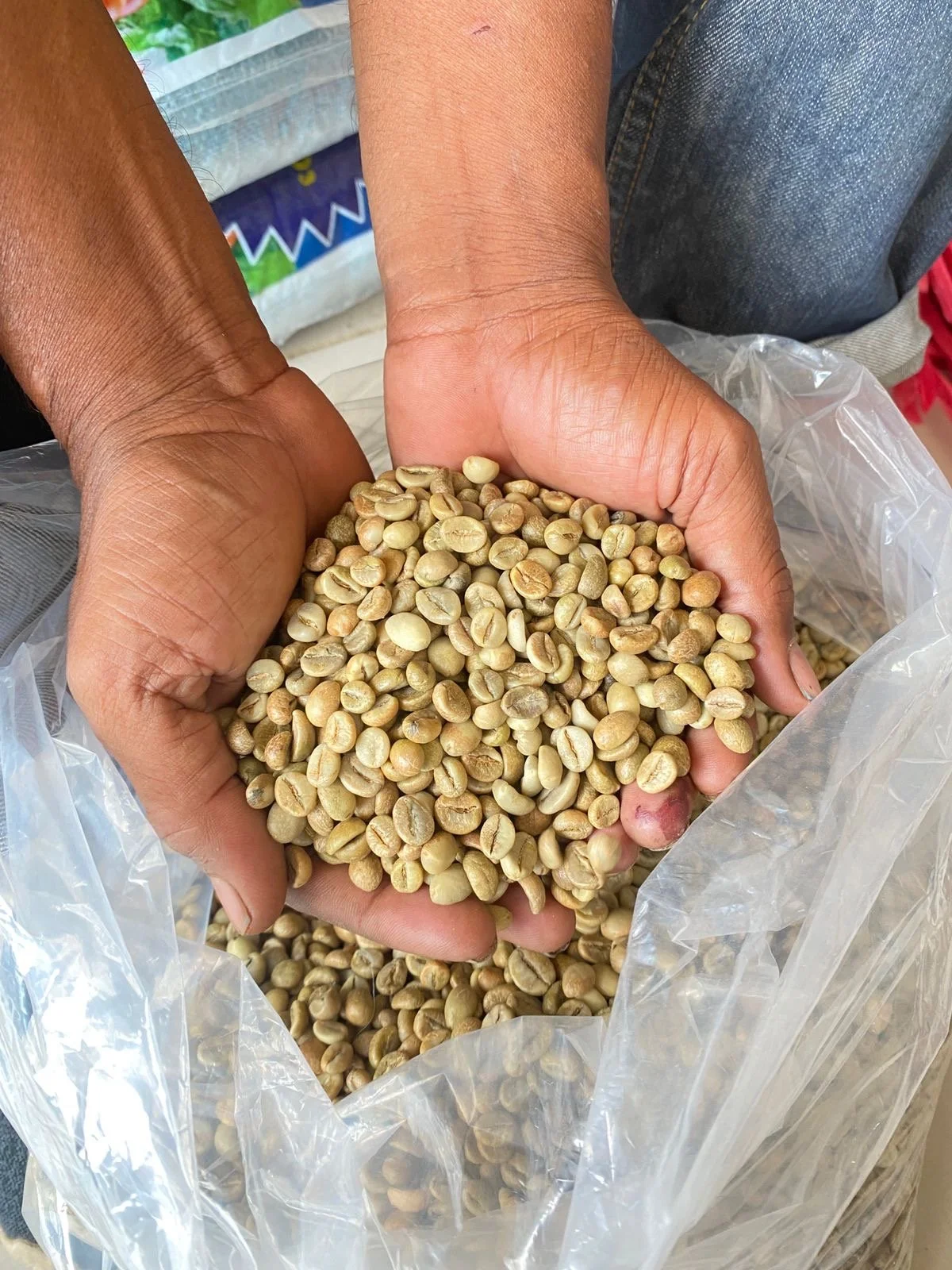 Green coffee beans