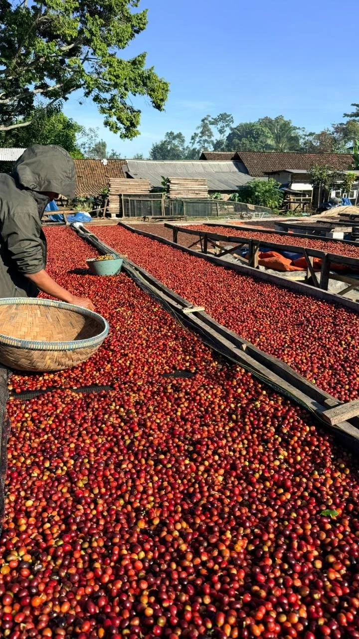 Agricultural product