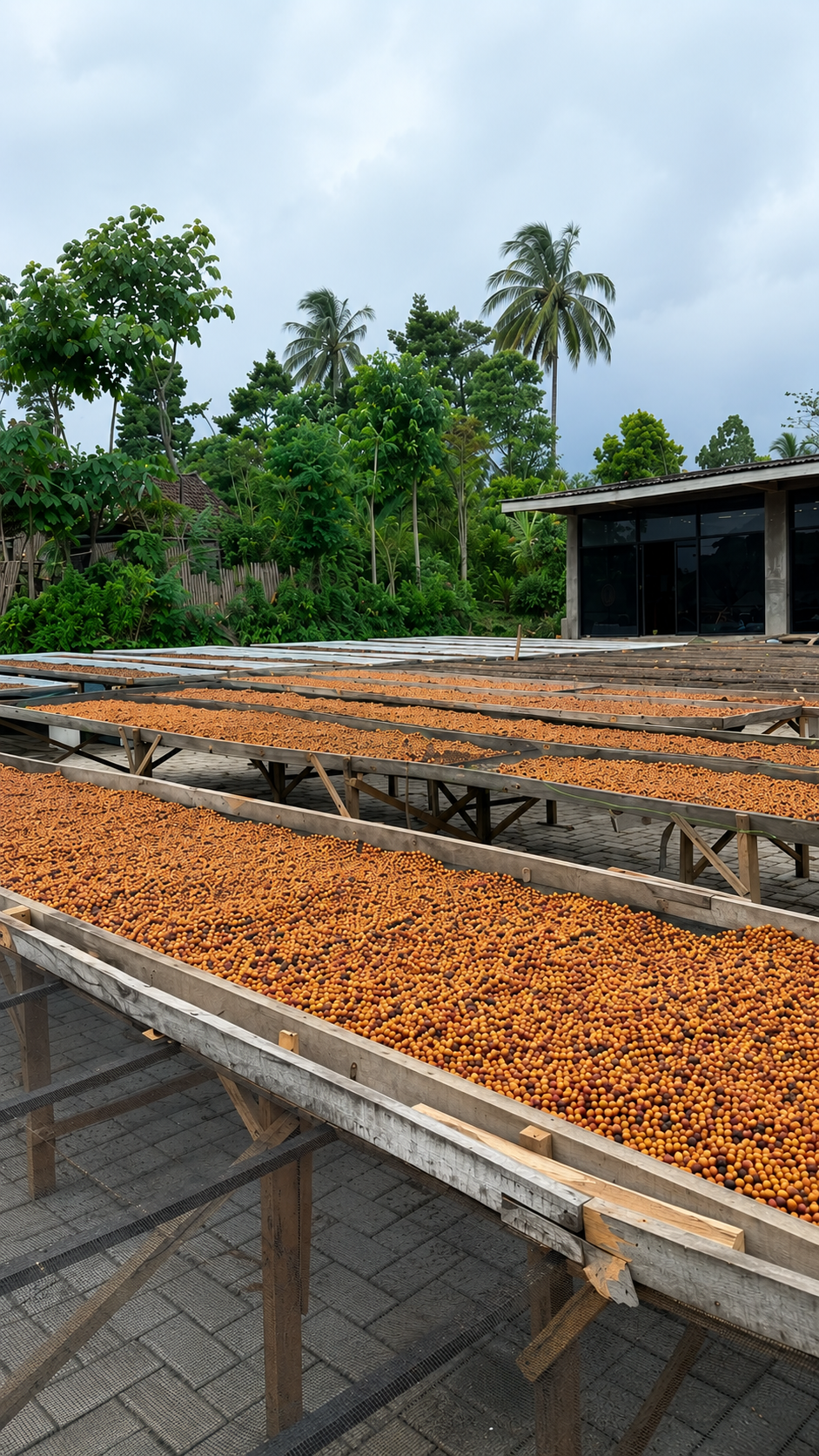 Agricultural product