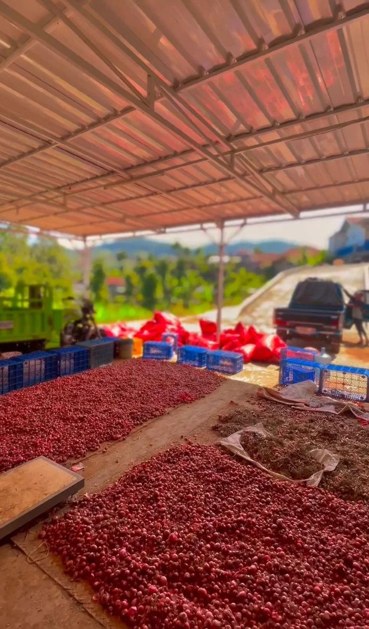 Agricultural product