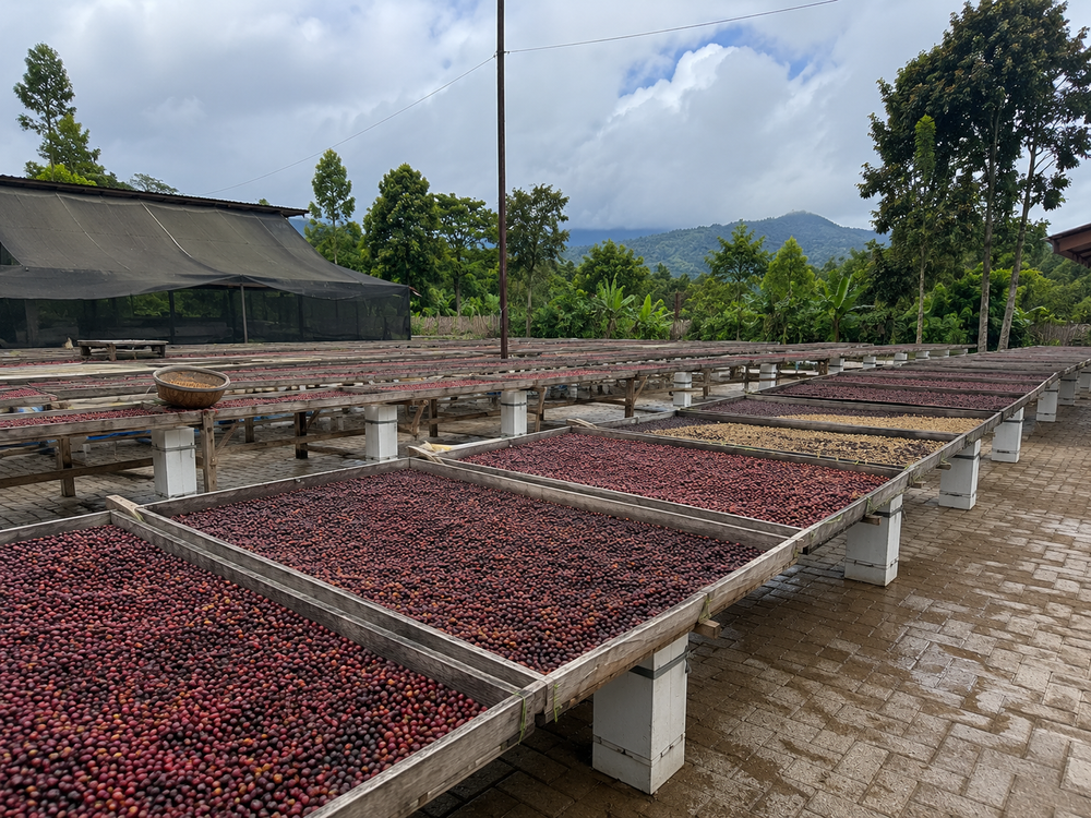 Agricultural product