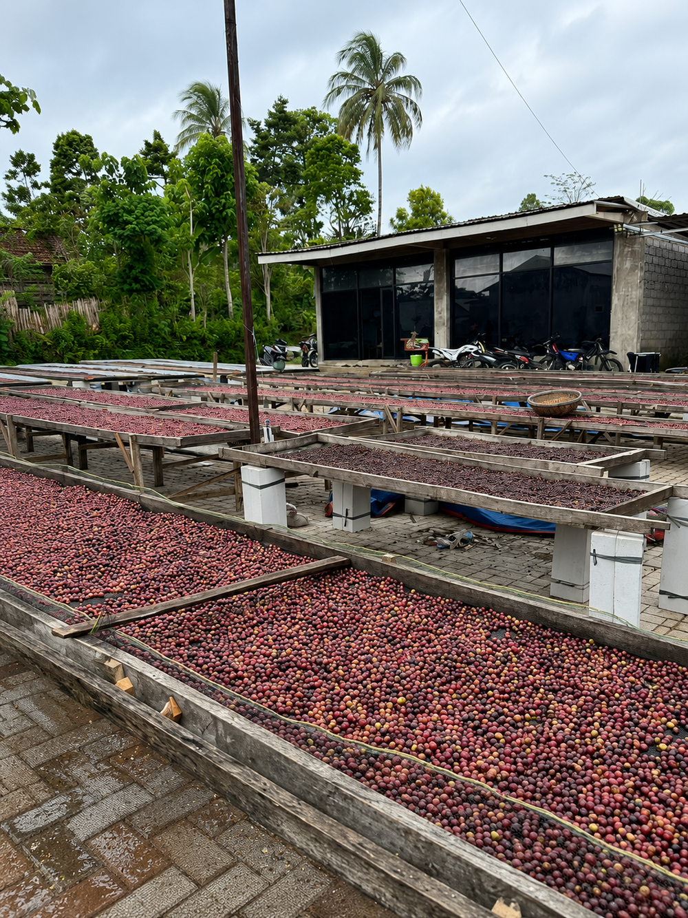 Agricultural product